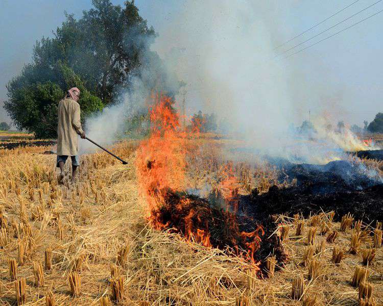 Bada Kadam: Use of 20 percent stubble as fuel in brick kilns is mandatory in Punjab, Punjab state government issued notification